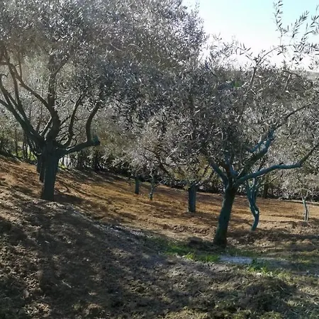 La Casa Dei Limoni ベッド・アンド・ブレックファスト Olivola (Alessandria)